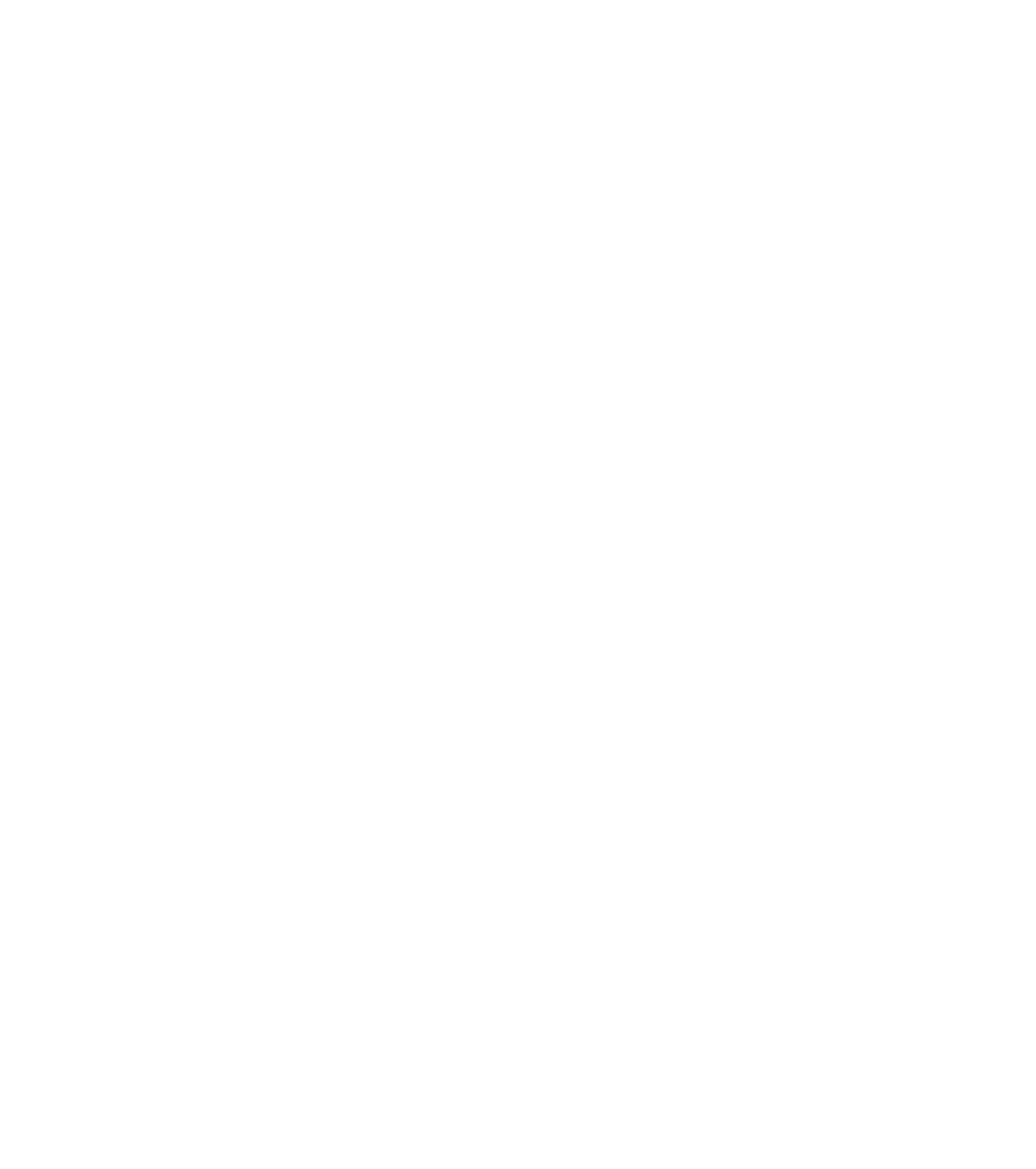 helmers-icon-baubegleitung-white